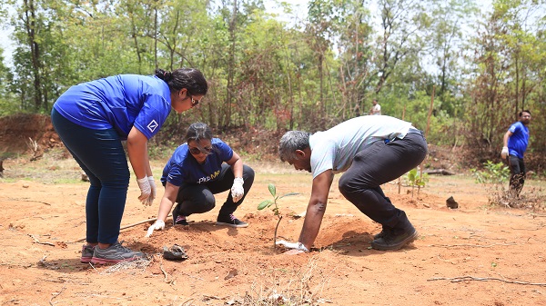 300,000 trees APAC s